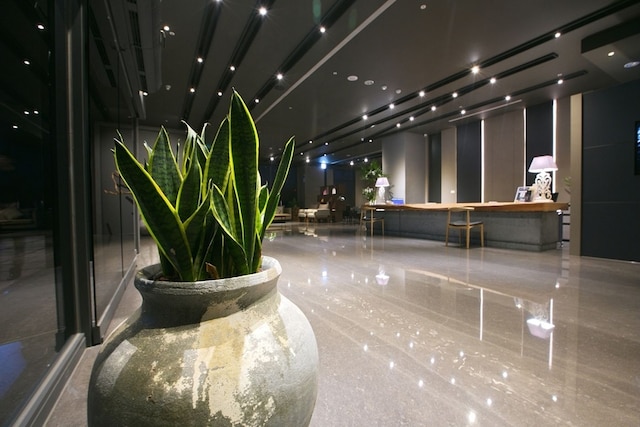 チアイー グァンヂー ホテル (嘉義觀止飯店)