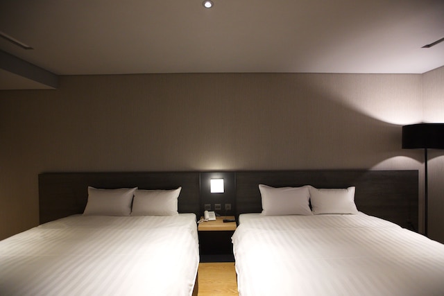 チアイー グァンヂー ホテル (嘉義觀止飯店)