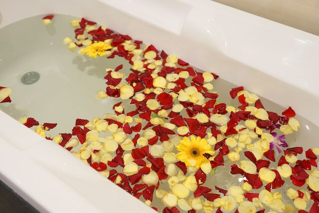 ゴールデン スター ホテル