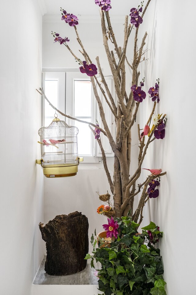 キャッスル イン リスボン アパートメンツ