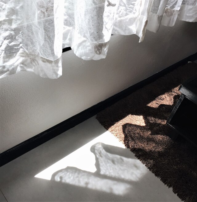 ファミリー ハウス アット パイ