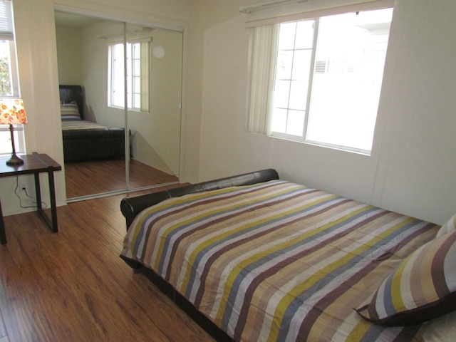 ピーチ ブロッサム アクロス フロム ザ ビーチ