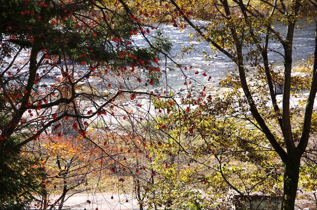 下呂温泉 悠久の華