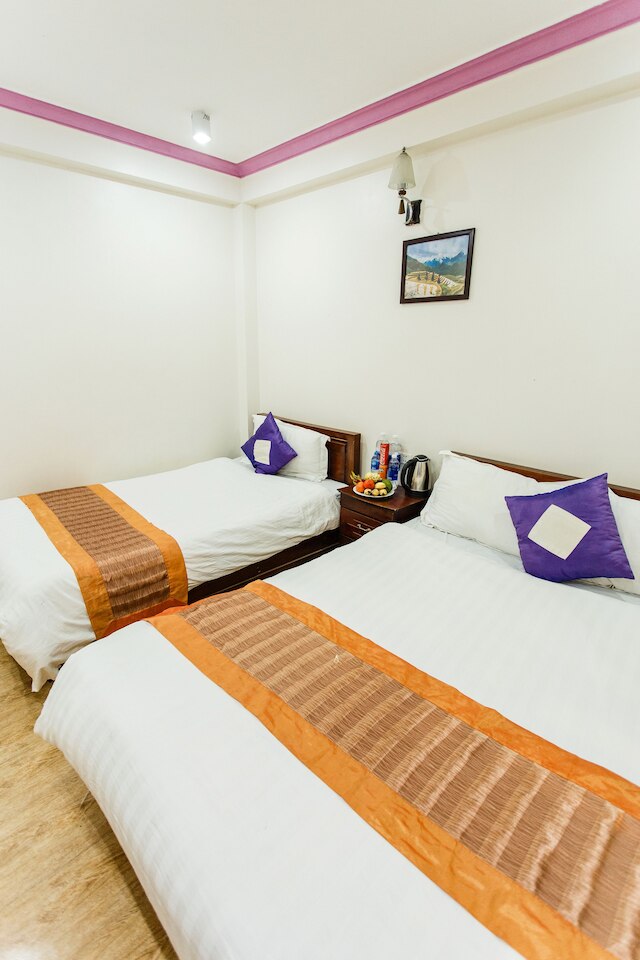 サパ マウンテン シティ ホテル