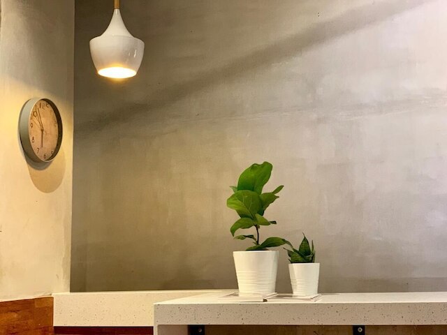 カオス・ブティックホテル