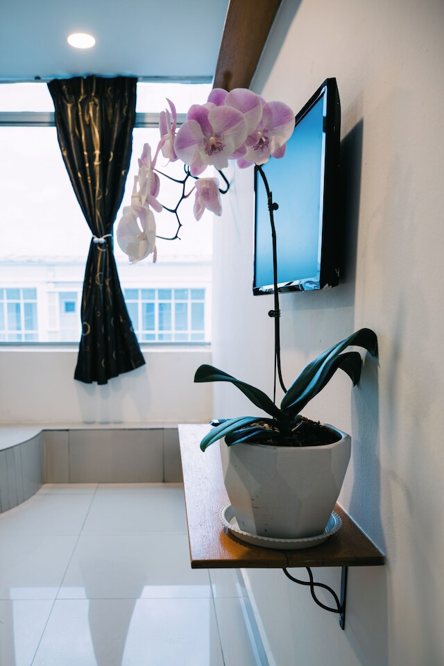 オーキッド イン カジャン