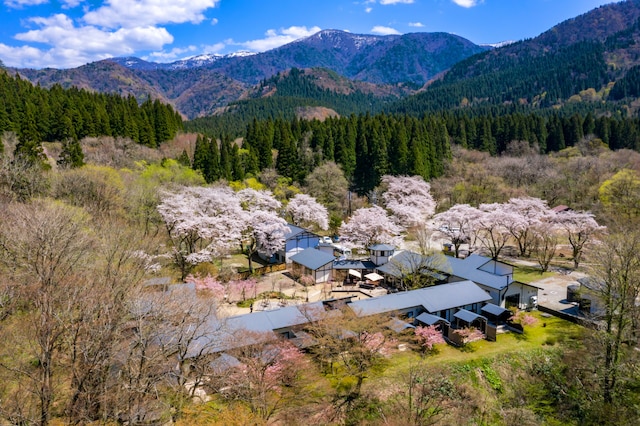 夏瀬温泉 都わすれ