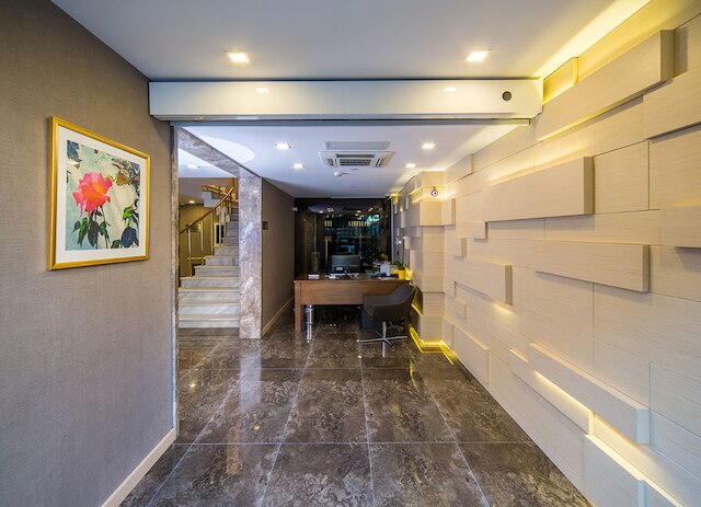 Molton Monapart Mecidiyekoy