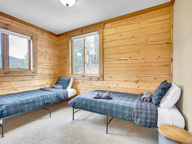 スイッチバック_ビッグディバイド 3 ベッドルームホーム