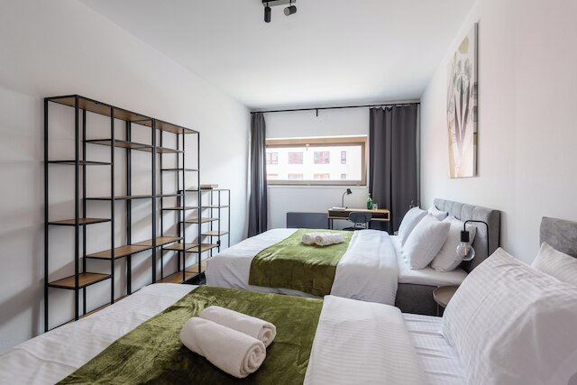 ファミリーアパート ウィズ バルコニー センター プラハ