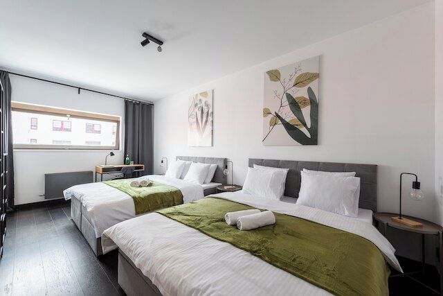 ファミリーアパート ウィズ バルコニー センター プラハ