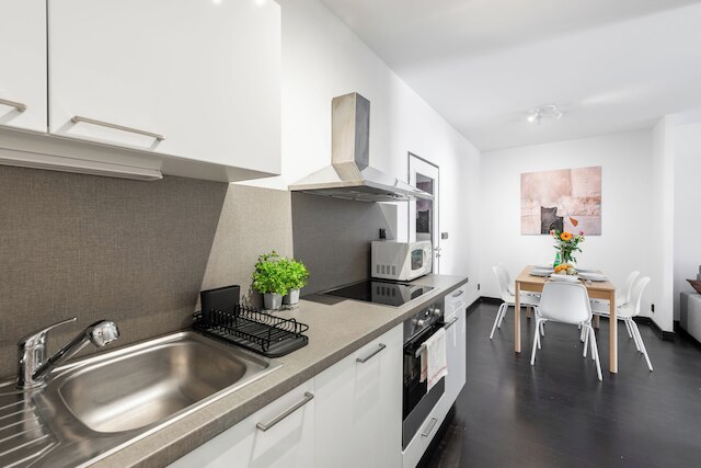 ファミリーアパート ウィズ バルコニー センター プラハ