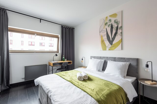 ファミリーアパート ウィズ バルコニー センター プラハ