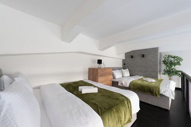 モダン ロフト ウィズ バルコニー クローズ トゥ センター