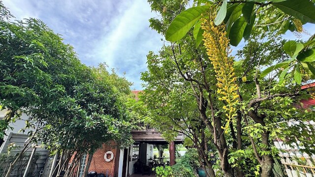 ワス ナ ヤジャイ