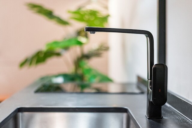 ゲストレディ - メルカドレス 150