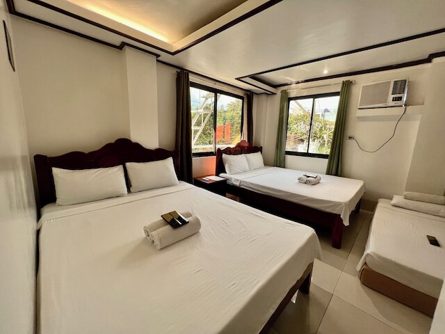 アロカシア エルニド