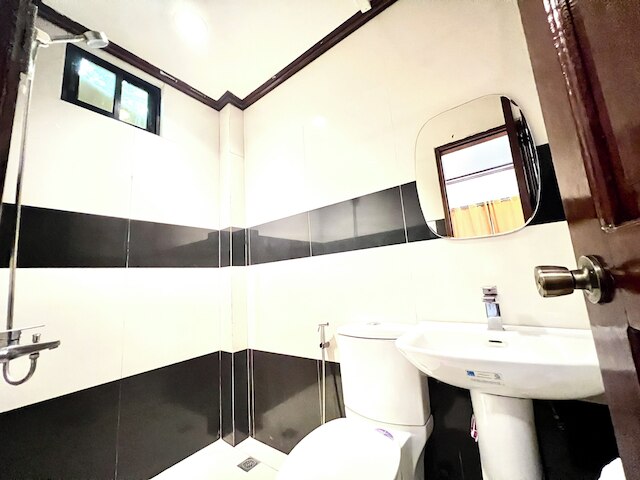 アロカシア エルニド