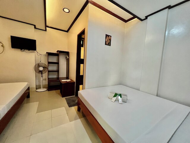 アロカシア エルニド