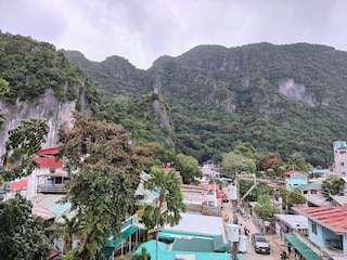 アロカシア エルニド