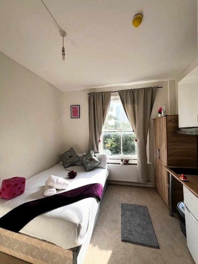 コージー ロンドン フラット ニア アールズ コート