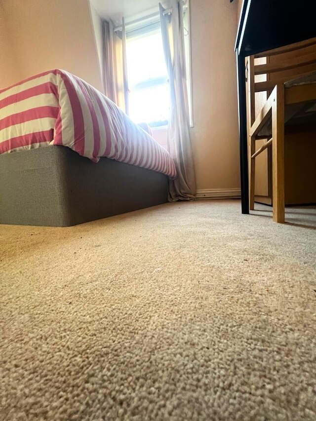 コージー ロンドン アパートメント ニア アールズ コート