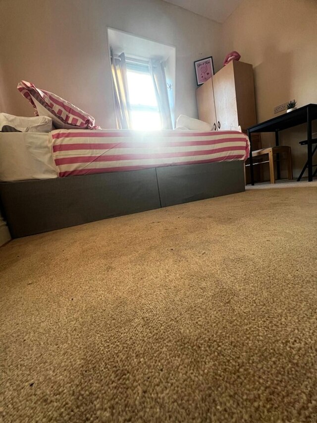 コージー ロンドン アパートメント ニア アールズ コート