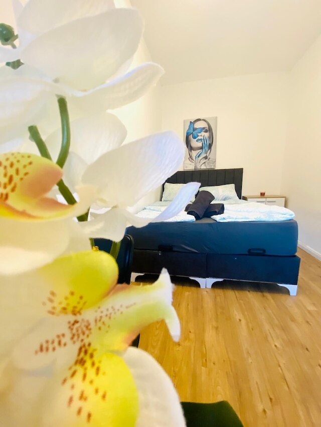 スペーシャス 4ベッドルーム フォー 15 & 15 ミニッツ トゥ ダニューブ