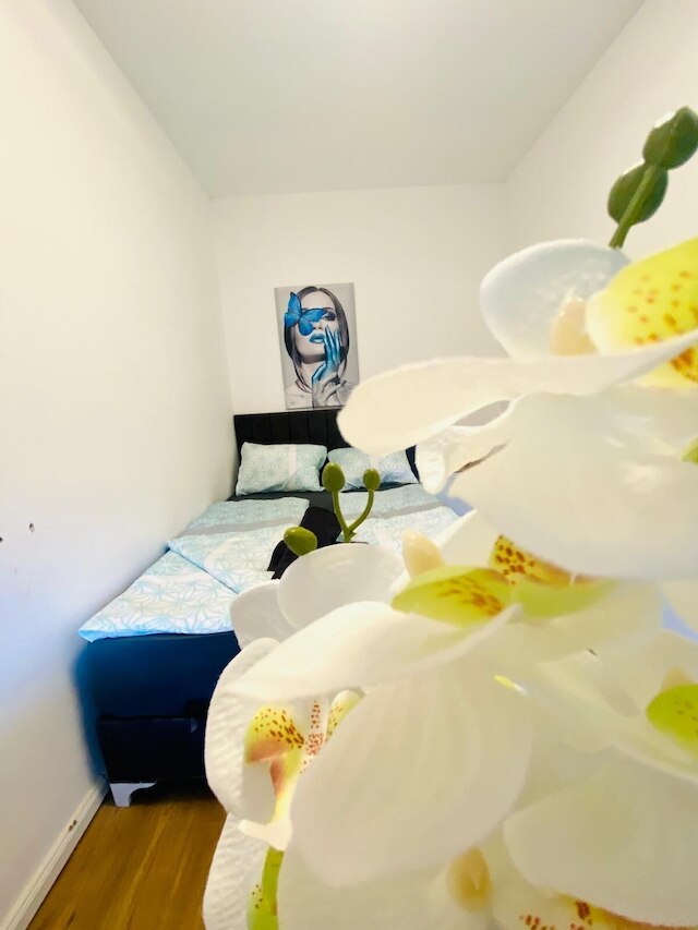 スペーシャス 4ベッドルーム フォー 15 & 15 ミニッツ トゥ ダニューブ