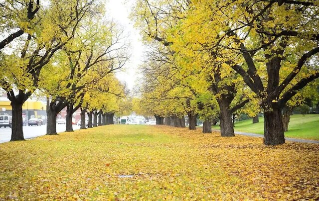 ア コンフィー & コージー アパートメント イン クリフトンヒル、フリー パーキング