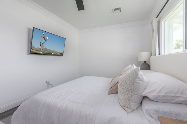 Old Town Fashion-pool-putting Green-bbq Grill