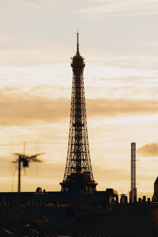 ル バス パラディウム