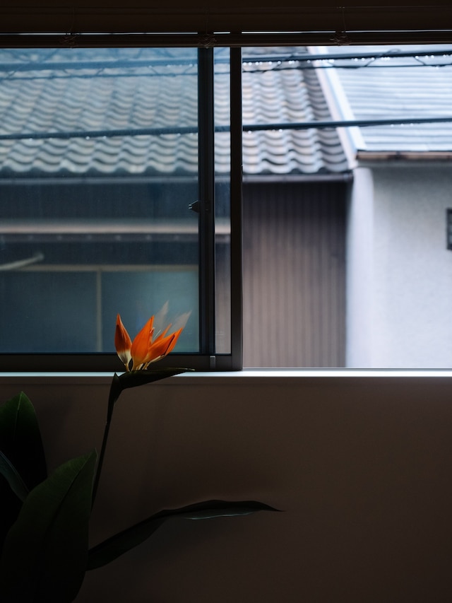 Seiwa Tabitime Senbonminami