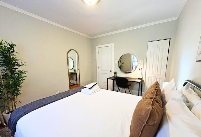 Furnished 1BR - Woodlawn 2W