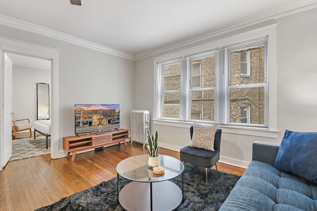 1BR Homey Pad - Lincoln 205