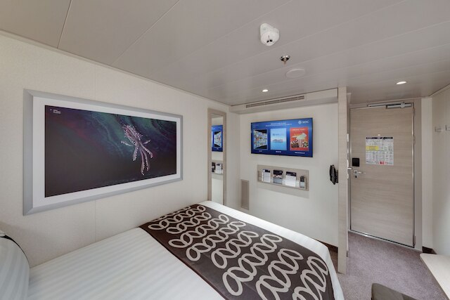 アラビアン クルーズ