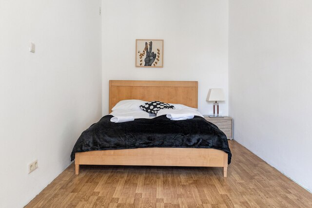 Lovely 2BR Apt Near Downtown