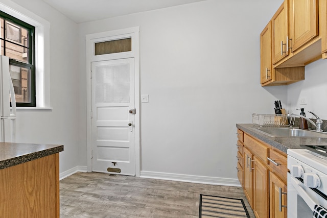 1BR Unit - Belmont J3