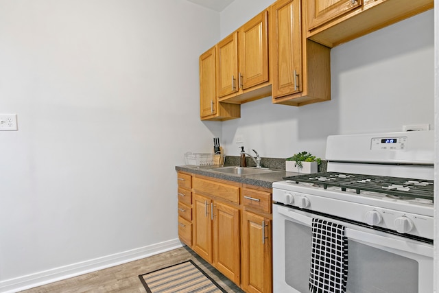 1BR Unit - Belmont J3