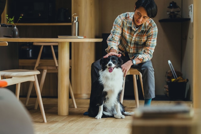 SANU 2nd Home 八ヶ岳3rd