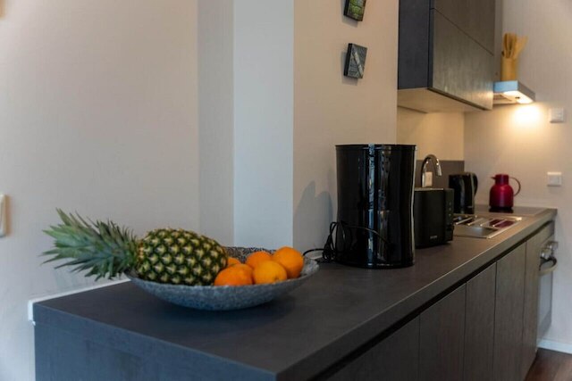 アルビオ イ ドゥクセン アパートメンツ ハーゲンベック ズー