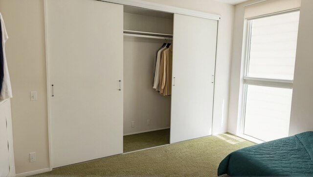 モダン ブティック リビング イン カルバーシティ