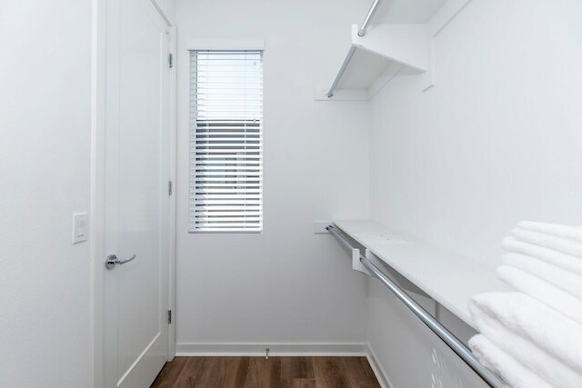 Central Location Master Bedroom w Shared Bathroom