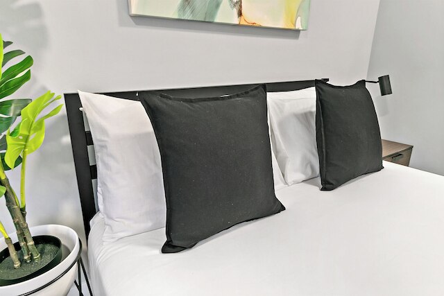 Lovely 1BR Apt - Belmont B3