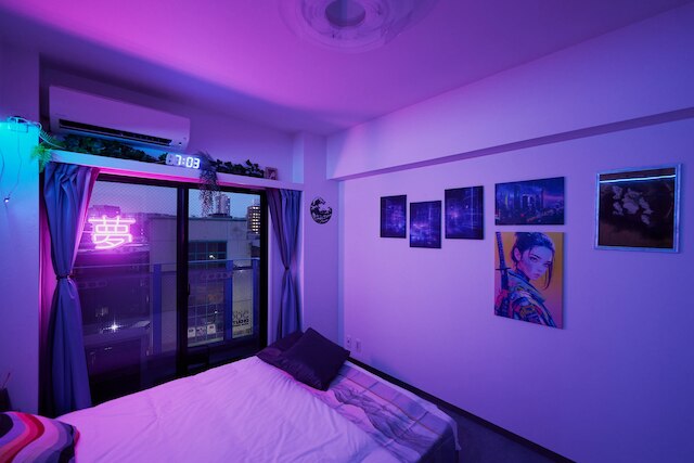 Tokyo Shinjyuku Cyber Room