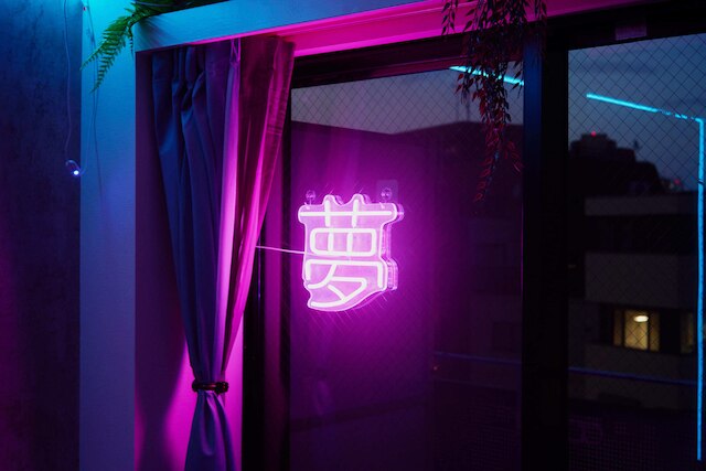 Tokyo Shinjyuku Cyber Room