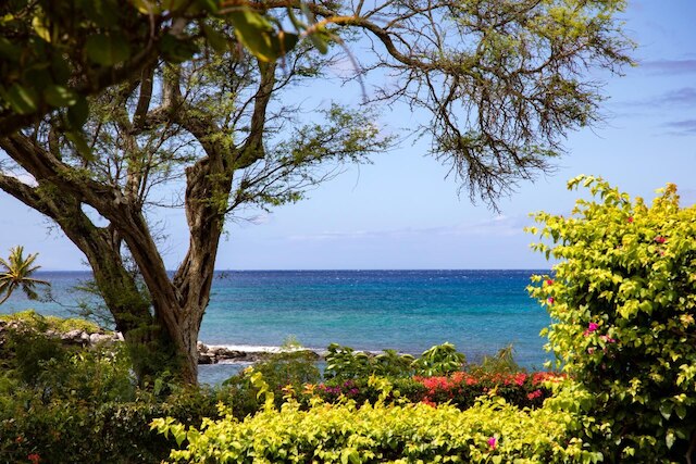 KBM Resorts Spacious 2-bedroom Napili Point Collection Multi Unit Listing Same Floor Ocean Views + 2 Free Rental Cars! Nap-b13/a25