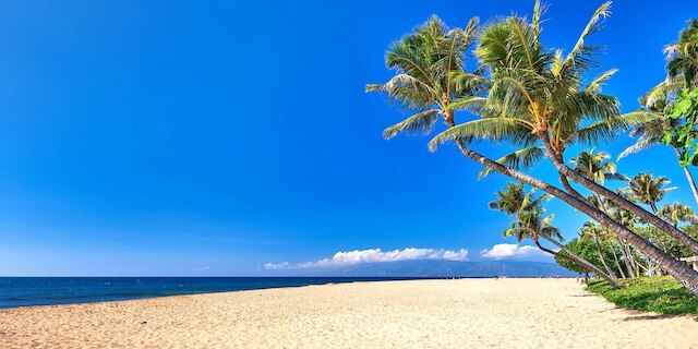 Honua Kai 2 Free Rental Cars KBM Resorts Spacious Floorplan 2 Units, 3 Bedrooms HK Ml-1469