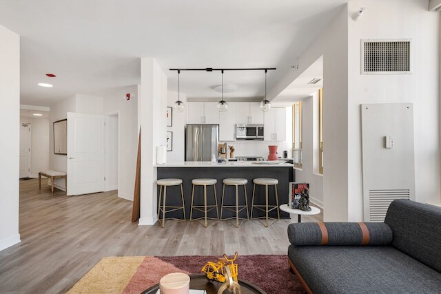 Michigan Ave 2BR Balcony Exclusive Access