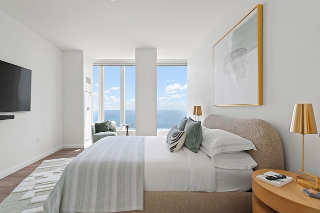 60 Fl Lake View Apt An Urban Oasis in the Sky